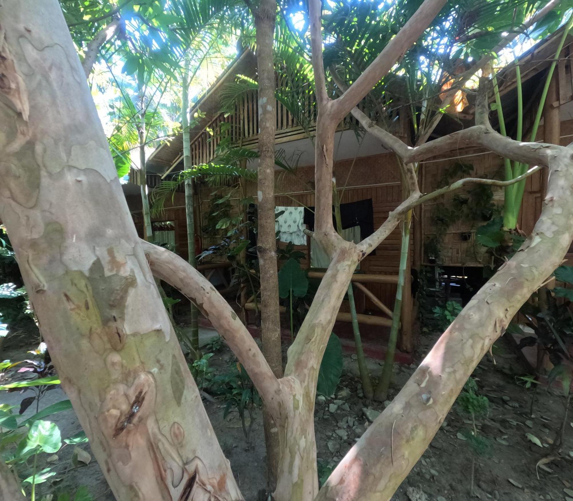 Havelock Farms Resort Vijay Nagar Beach Exterior foto