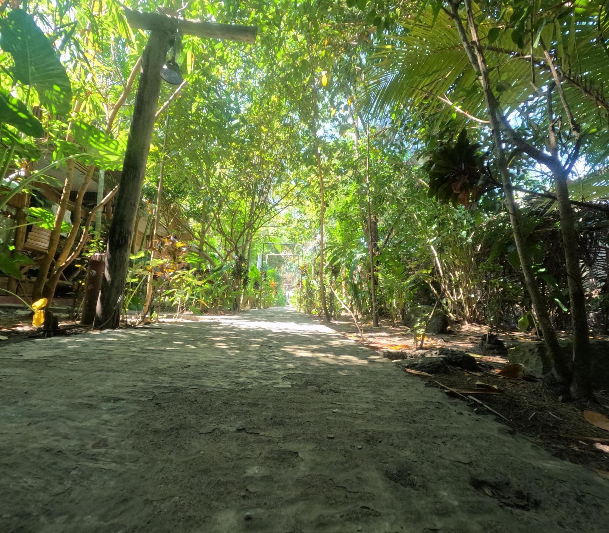 Havelock Farms Resort Vijay Nagar Beach Exterior foto