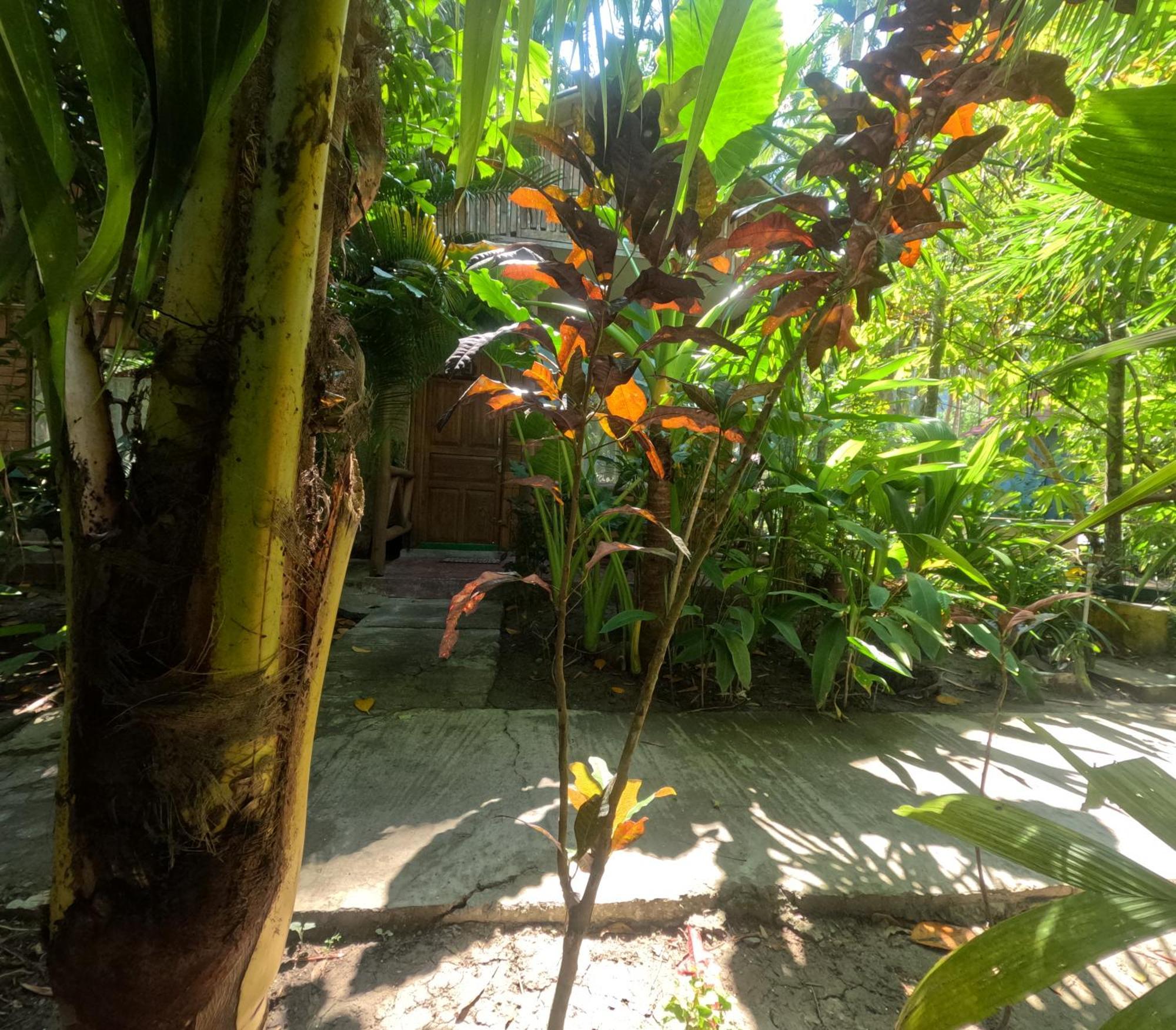 Havelock Farms Resort Vijay Nagar Beach Exterior foto